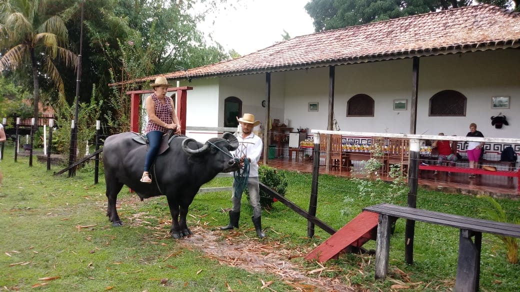Fazenda Araruna