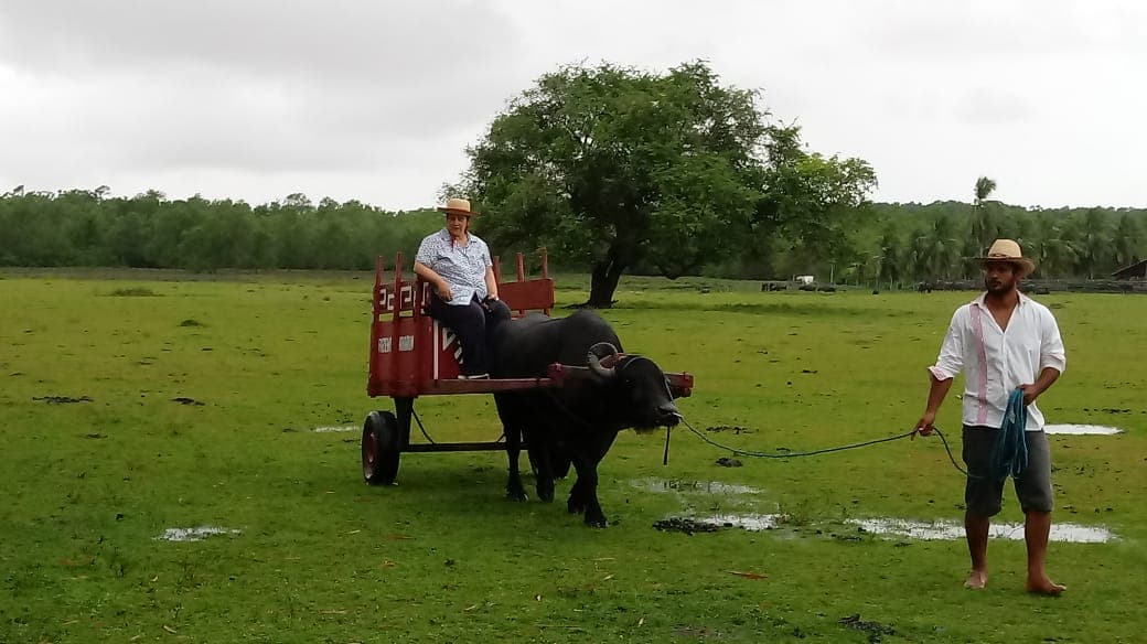 Fazenda Araruna