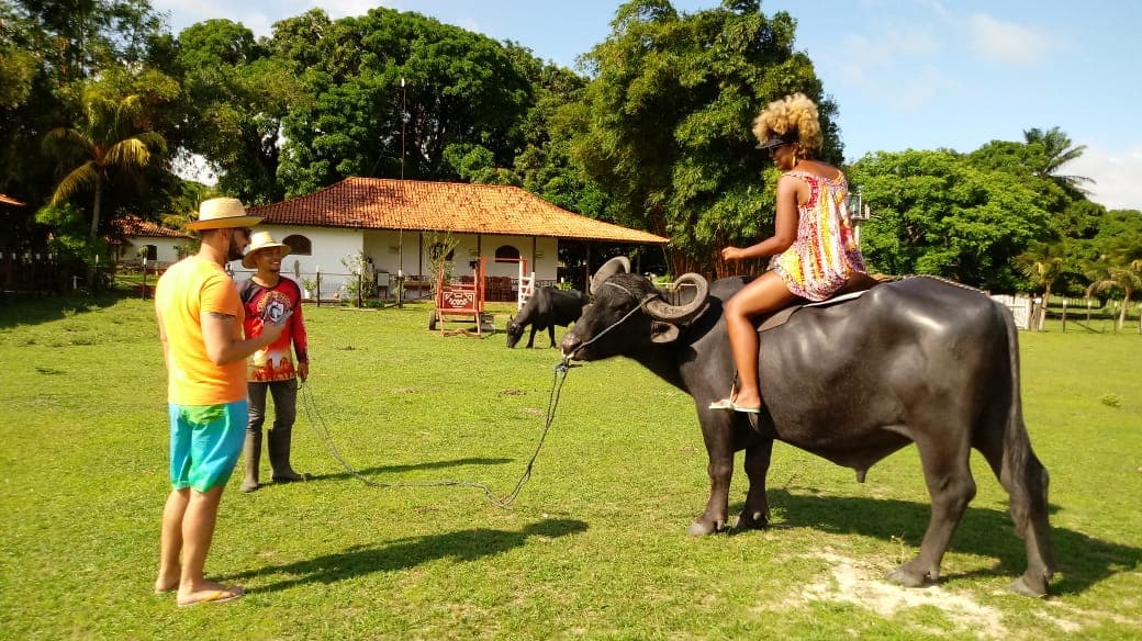 Fazenda Araruna