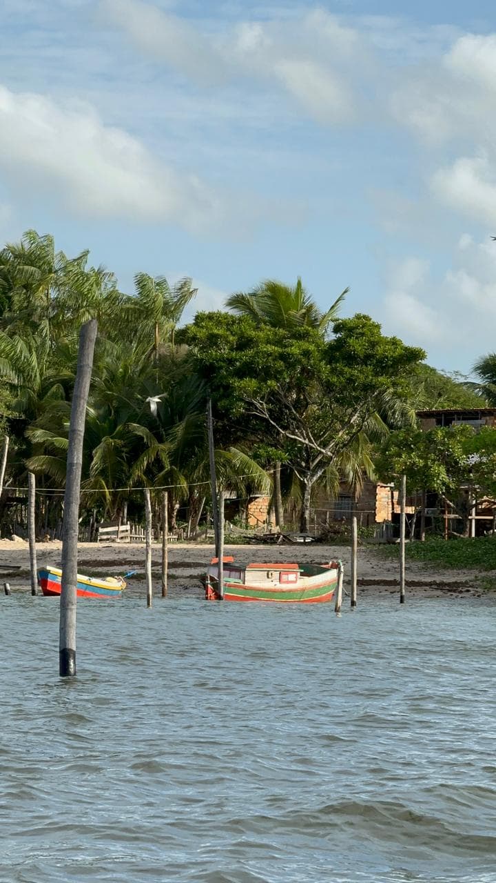 Rio Paracauari