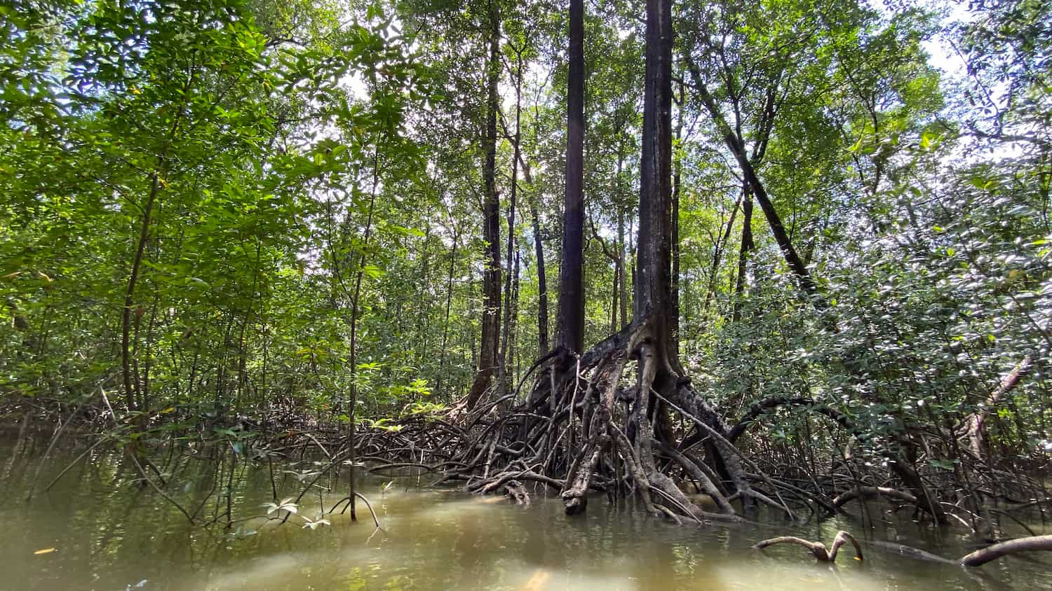 Fazenda São Jerônimo - Búfalo Aventura