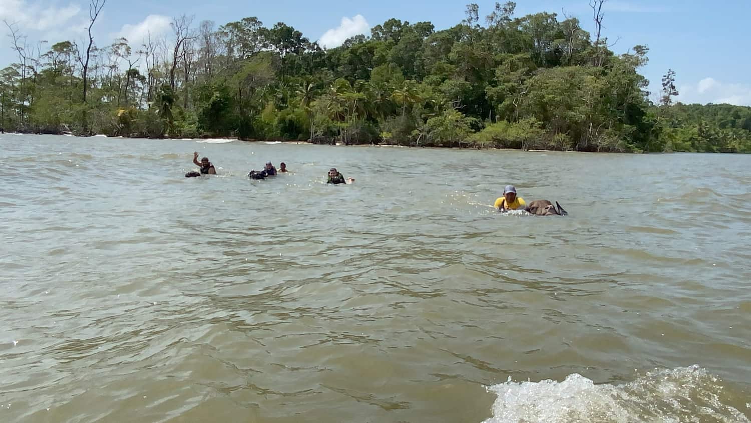 Fazenda São Jerônimo - Búfalo Aventura