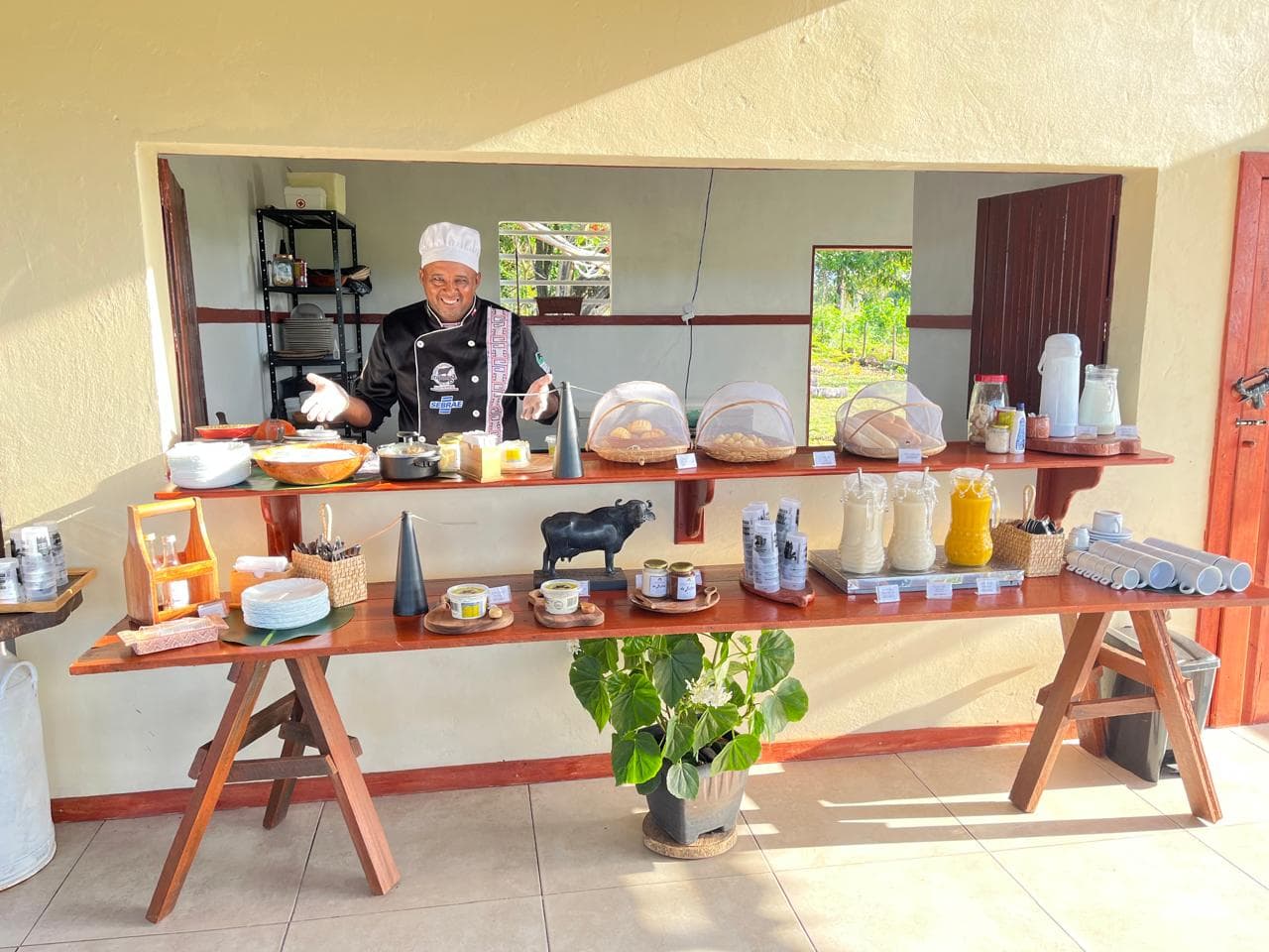 Vivência na Fazenda