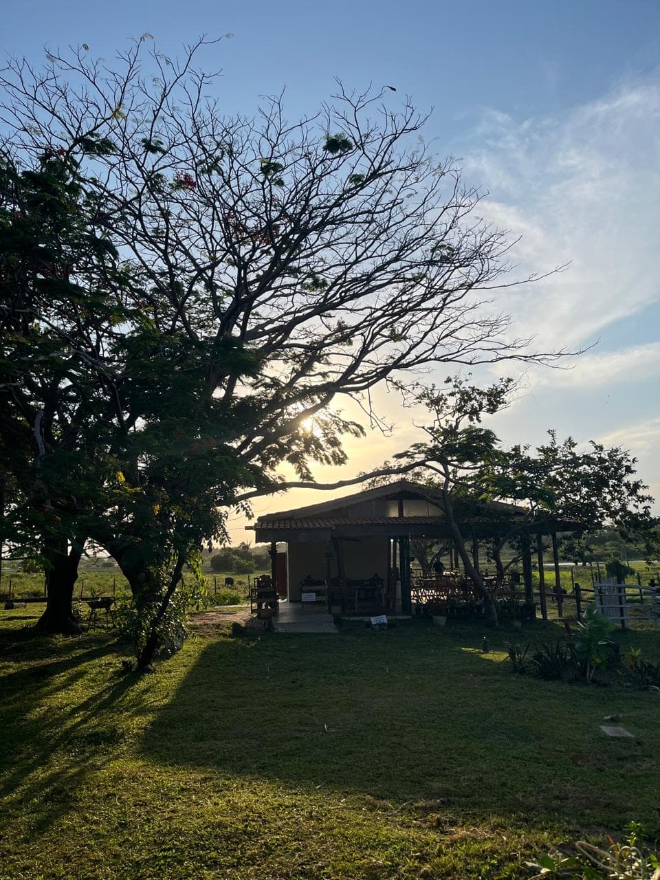 Vivência na Fazenda