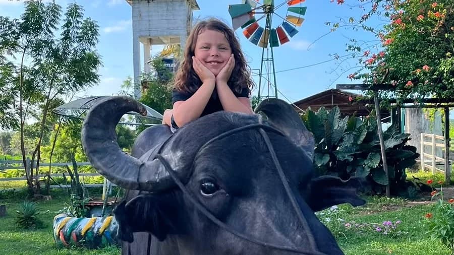 Vivência do Queijo do Marajó — Vivência Mironga