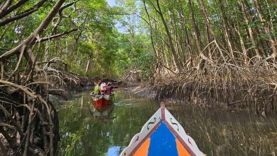 Vivência do Mangue Marajoara