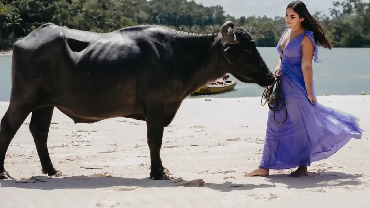 Marajó Completo